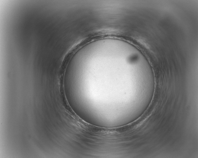 X0000068751309200605121559