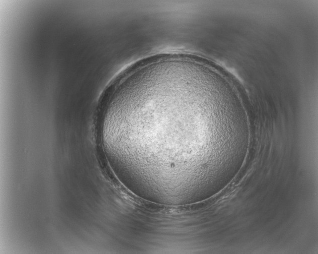 X0000068751311200605121559