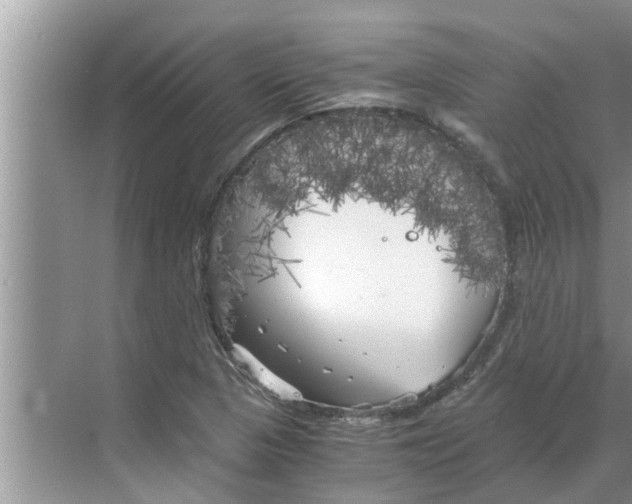 X0000068751313200605121559