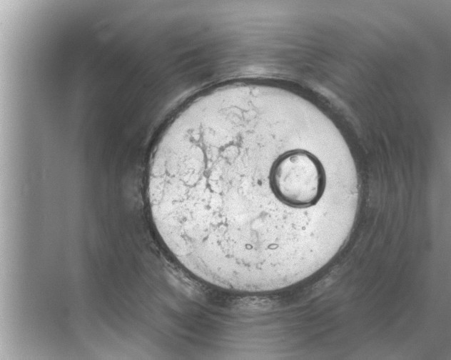 X0000068751314200605121559