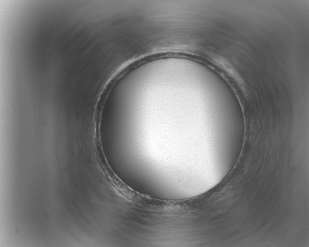 X0000068751316200605121559