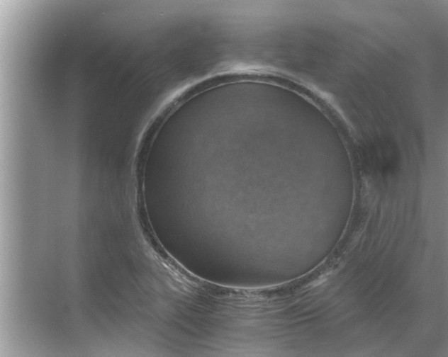 X0000068751319200605121559