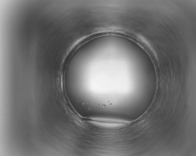 X0000068751320200605121559