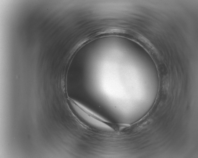 X0000068751321200605121559