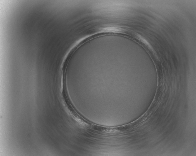 X0000068751323200605121559