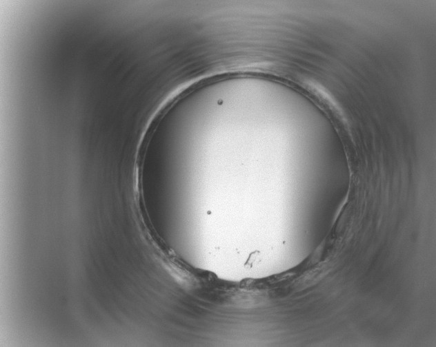 X0000068751324200605121559