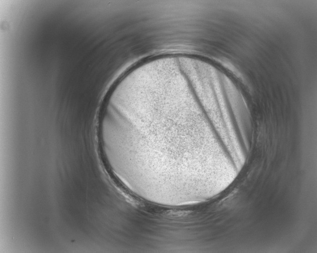 X0000068751325200605121600