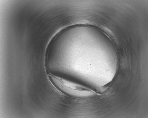 X0000068751326200605121600