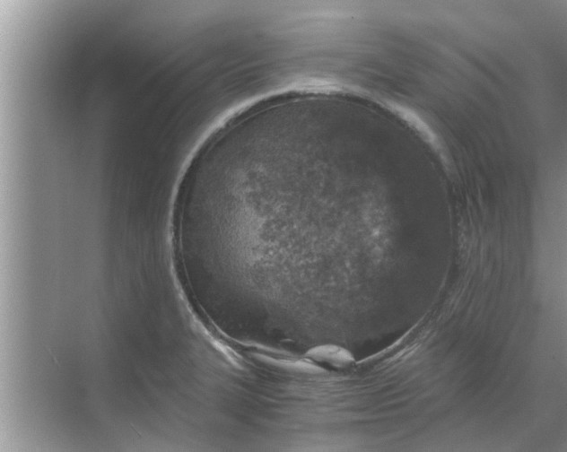 X0000068751327200605121600