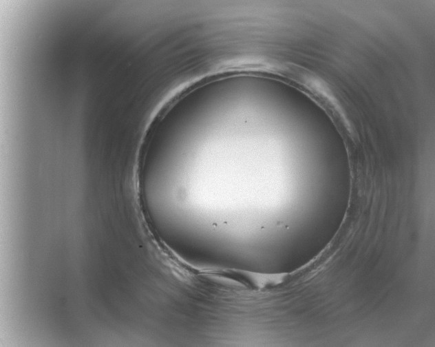 X0000068751328200605121600