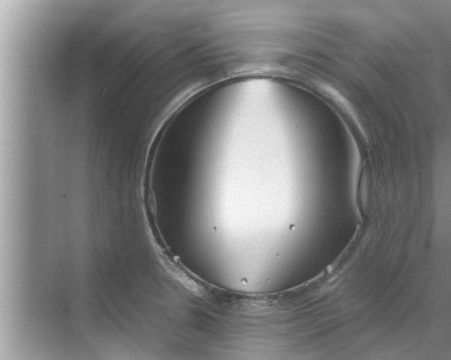 X0000068751330200605121600