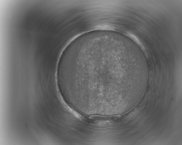 X0000068751331200605121600