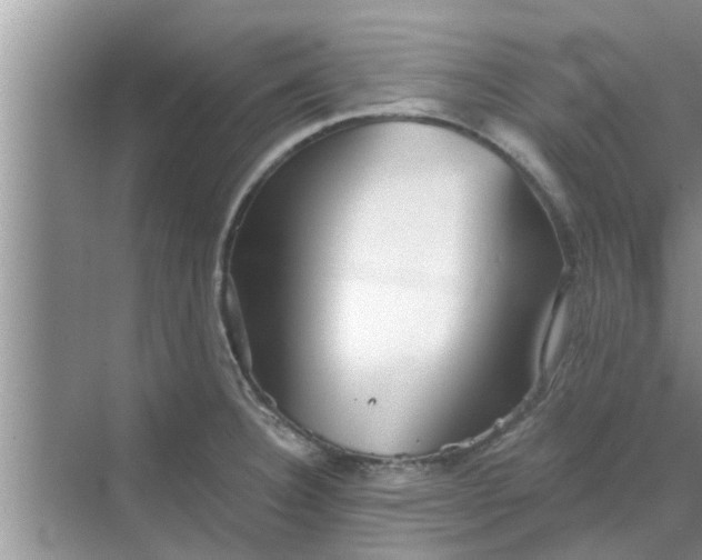 X0000068751332200605121600