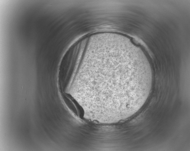 X0000068751333200605121600