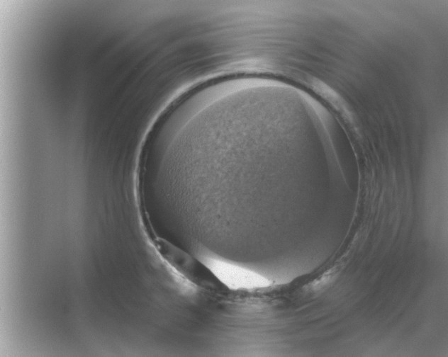 X0000068751334200605121600