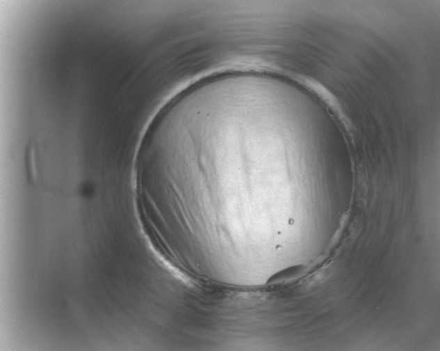 X0000068751335200605121600