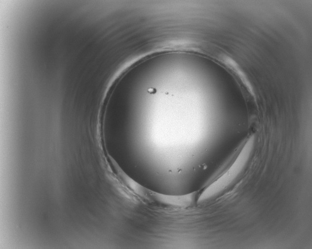 X0000068751336200605121600