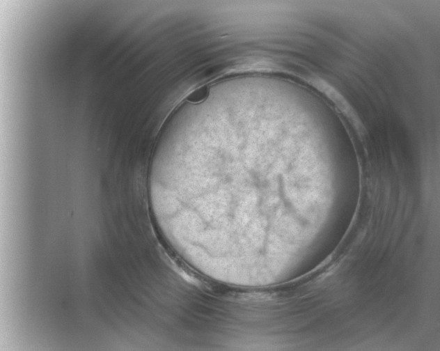 X0000068751337200605121600