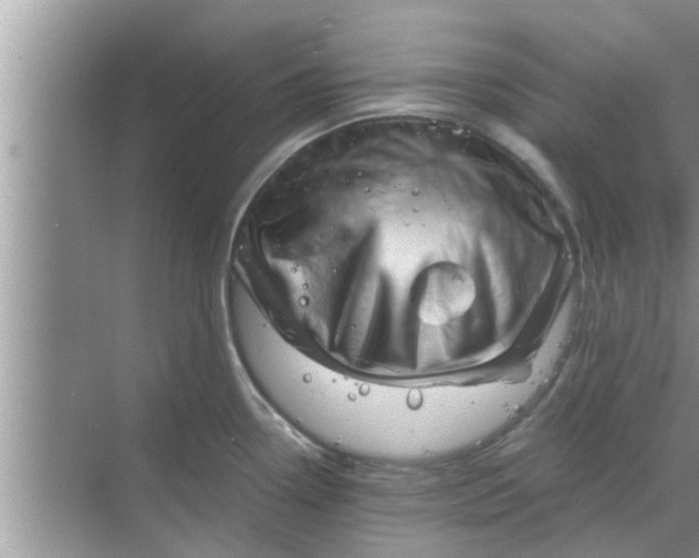 X0000068751338200605121600