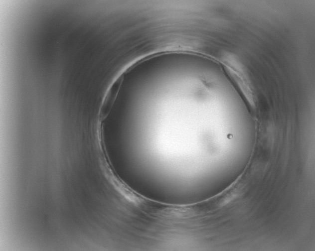 X0000068751340200605121600