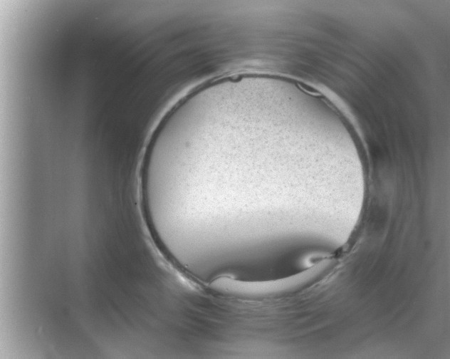 X0000068751341200605121600