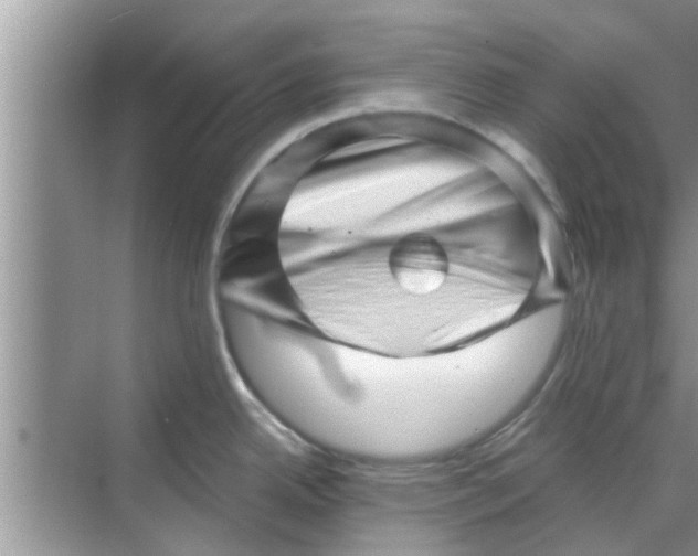 X0000068751342200605121600