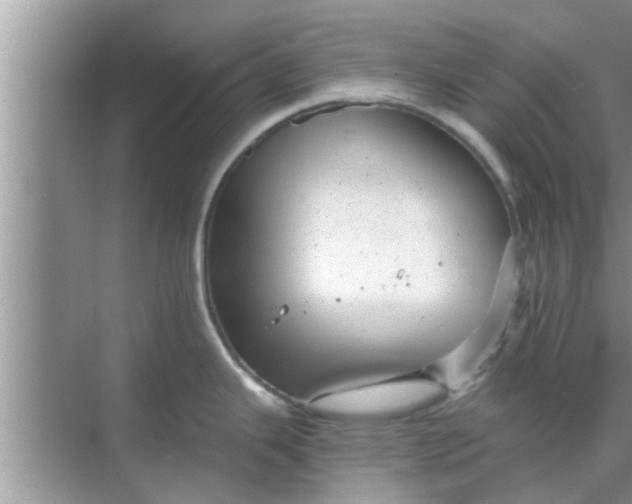 X0000068751343200605121600