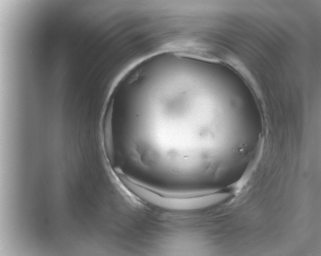 X0000068751344200605121600