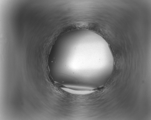 X0000068751345200605121559