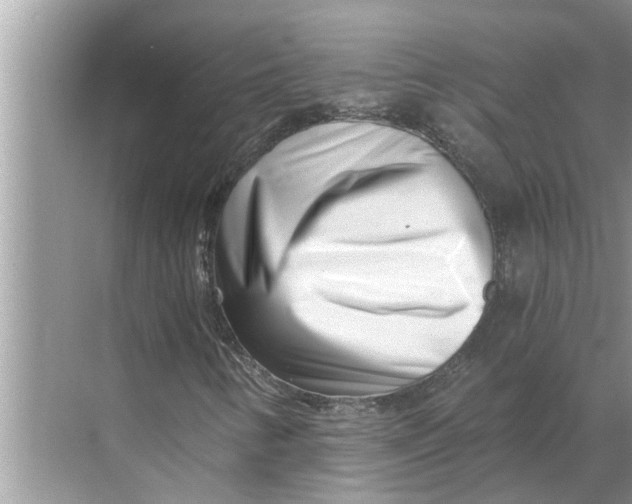 X0000068751346200605121559