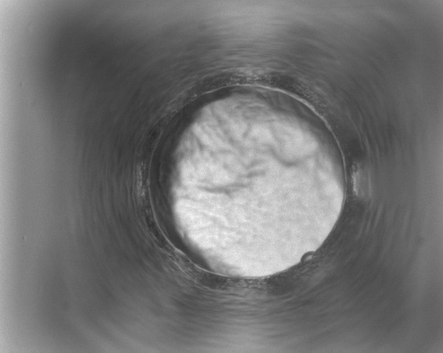 X0000068751347200605121559