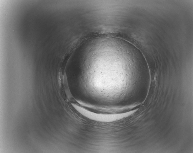 X0000068751348200605121559