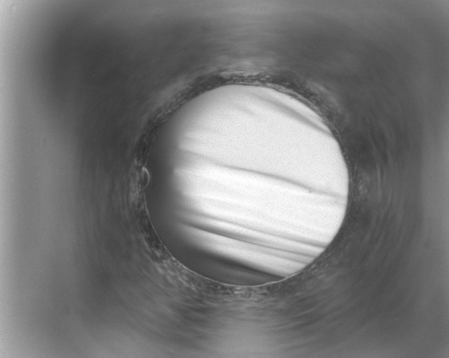 X0000068751350200605121559