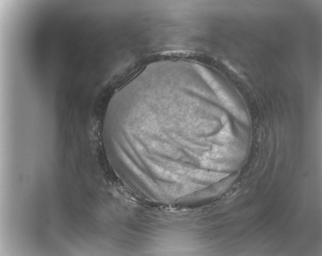 X0000068751351200605121559