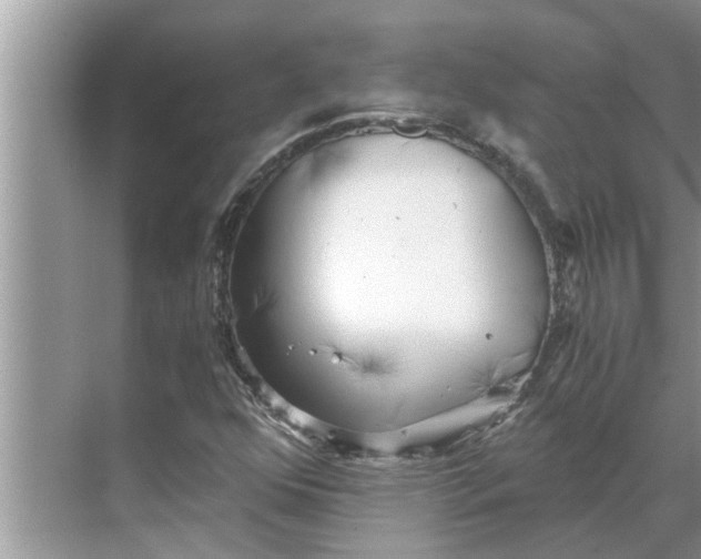 X0000068751352200605121559