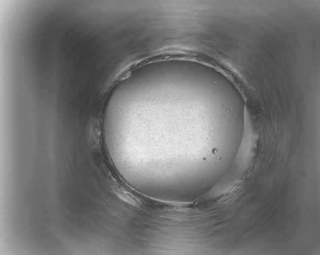 X0000068751355200605121559