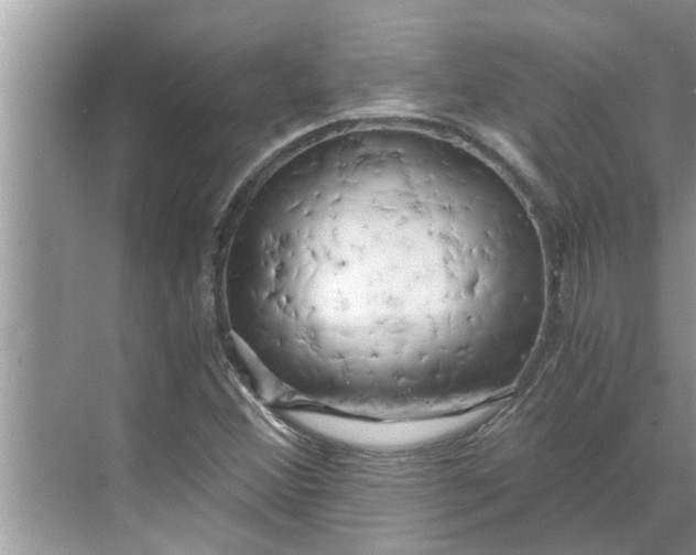 X0000068751356200605121559