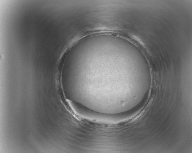 X0000068751357200605121559