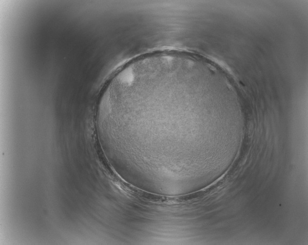 X0000068751359200605121559