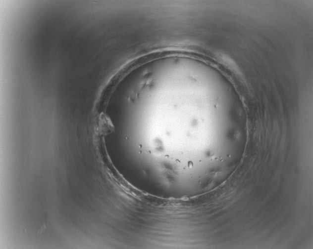 X0000068751360200605121559