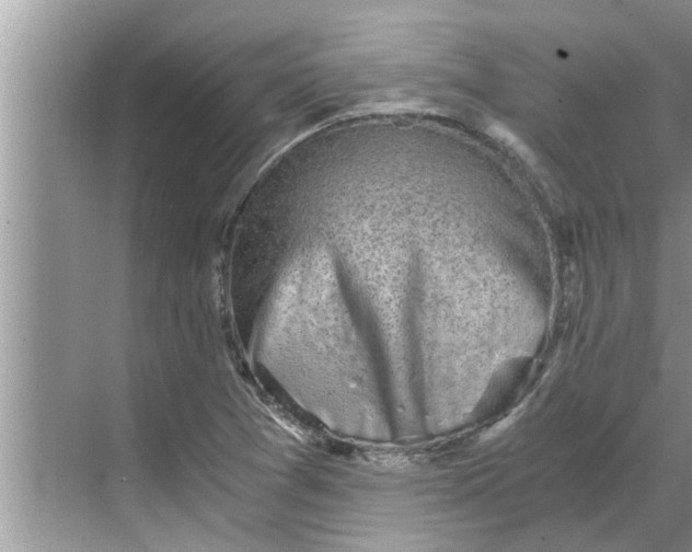 X0000068751361200605121559