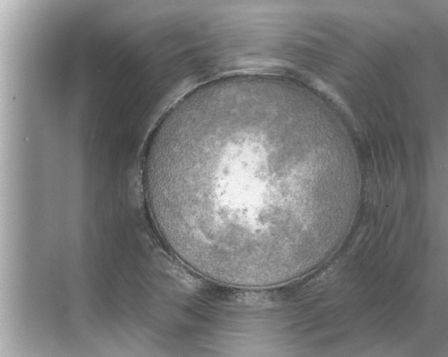 X0000068751362200605121559