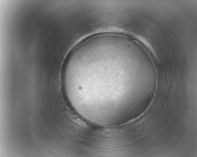 X0000068751364200605121559