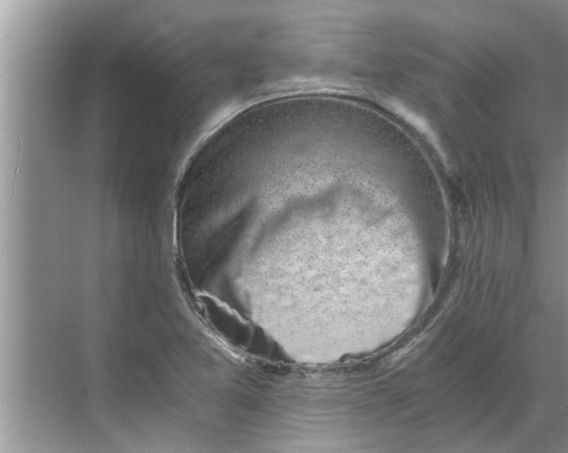 X0000068751365200605121559