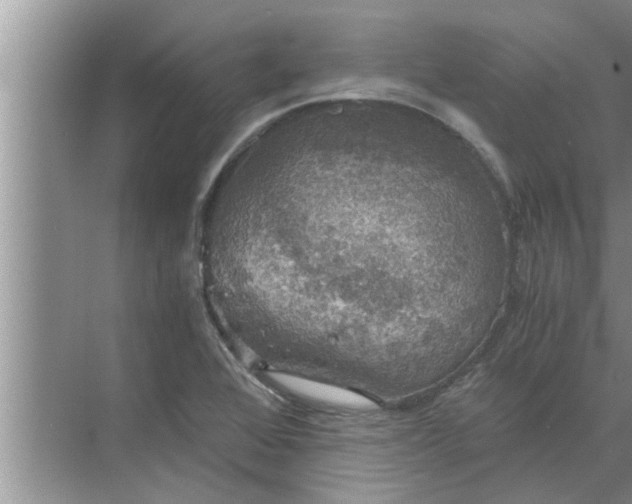 X0000068751368200605121559