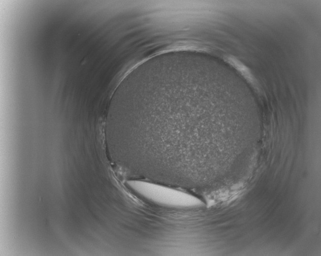 X0000068751369200605121559