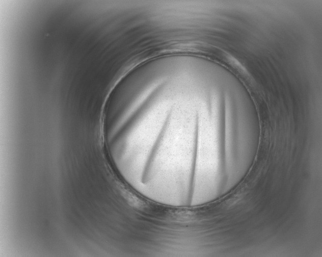 X0000068751370200605121559