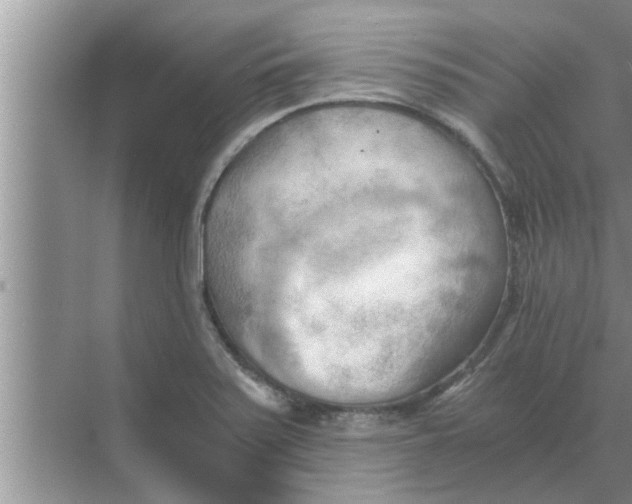 X0000068751371200605121559