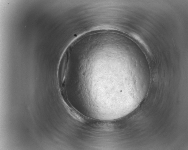 X0000068751372200605121559