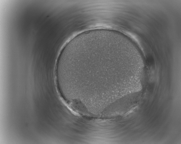 X0000068751373200605121559